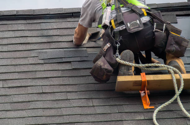 Best Flat Roof Repair Services  in Anahola, HI
