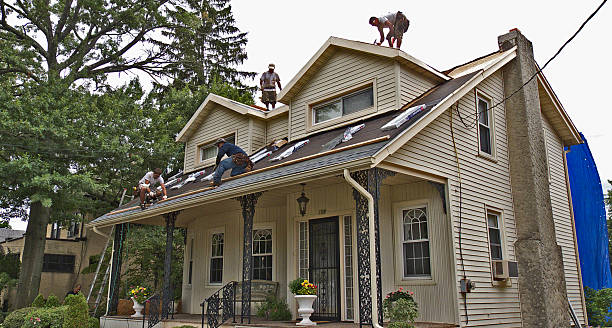 Professional Roofing Contractor in Anahola, HI